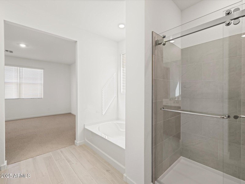 Primary Bathroom View 2