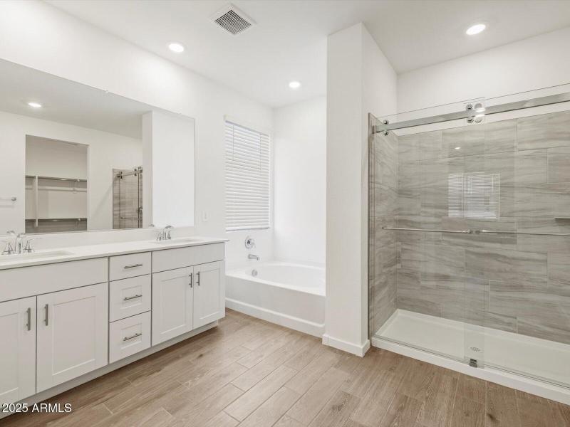 Primary Bathroom View 1