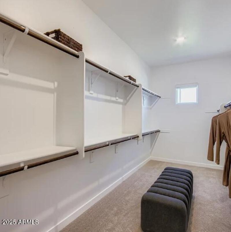 Owners Walk in Closet