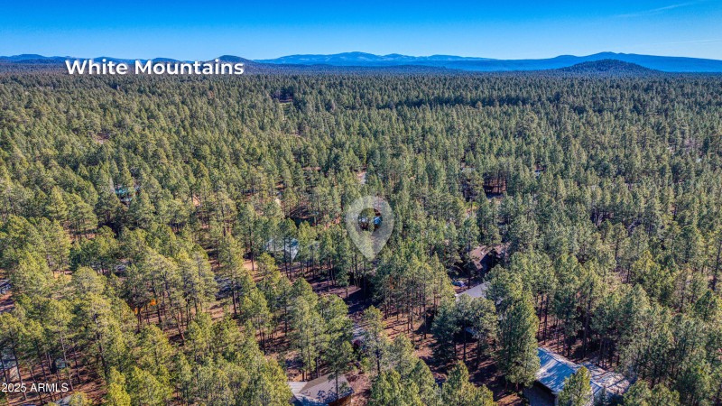 7185 Moon Creek Circle in Pinetop