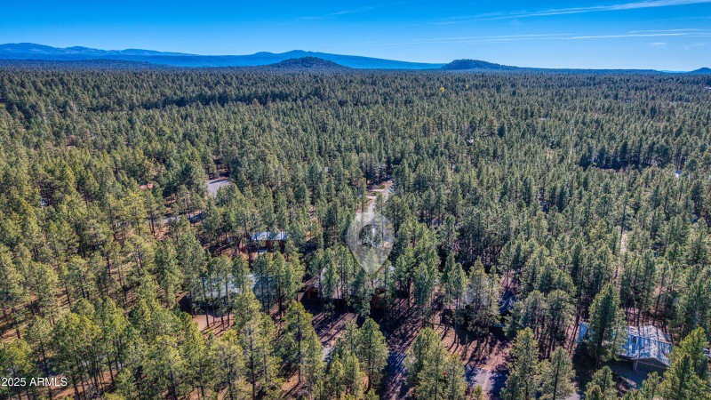 7185 Moon Creek Circle in Pinetop