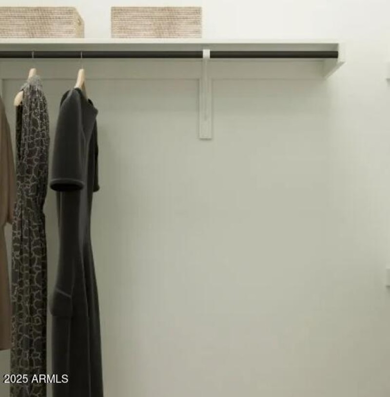 Owners Walk in Closet