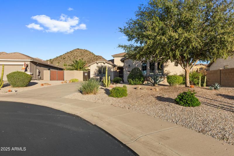 31417 N Desert Star St-2