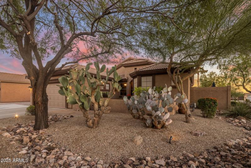 8-web-or-mls-IMG_9501