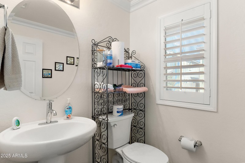 Downstairs Powder Room