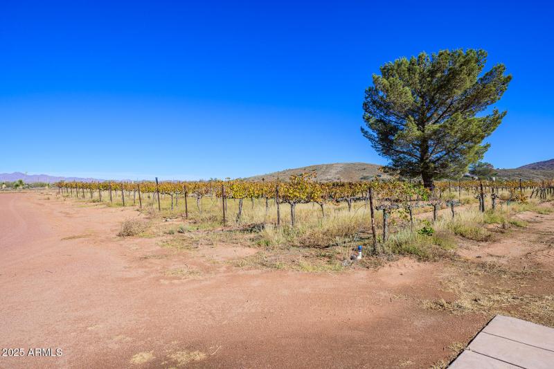 006 - 2909 E. Country Club Drive