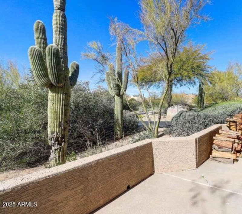 Patio Views of Natural Space
