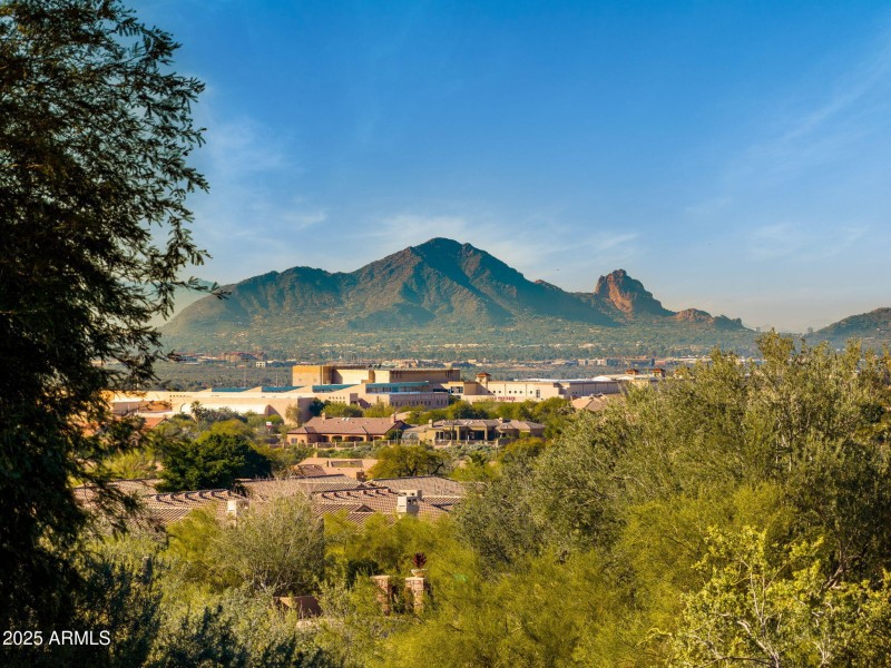 Camelback View