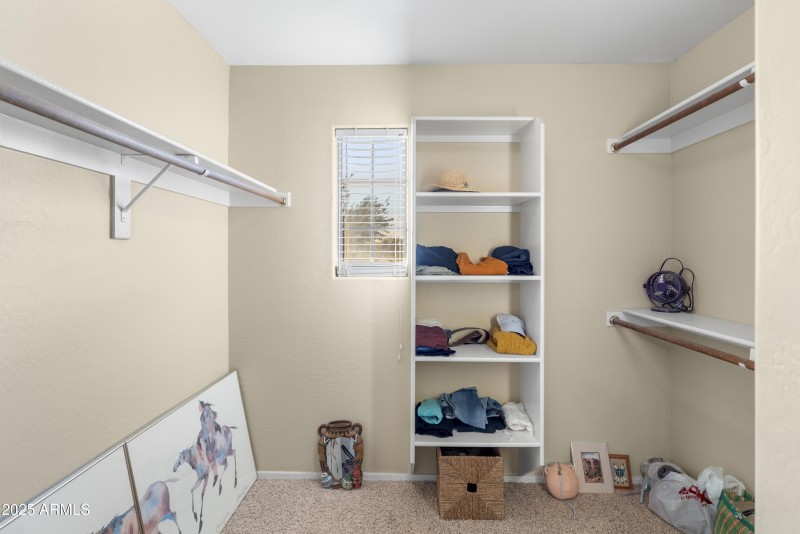 Owner's Walk-in Closet