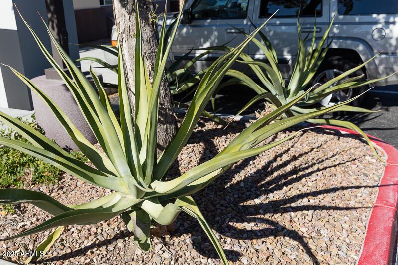 9059 W Lake Pleasant Parkway, Peoria AZ-