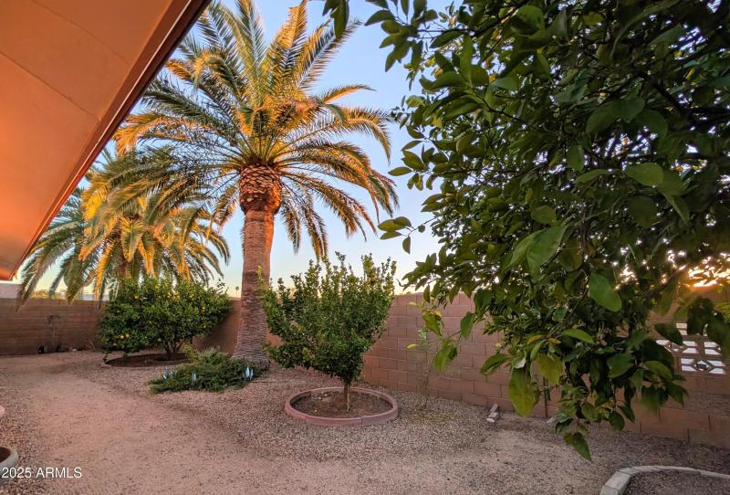 PXL_20251210_000904513-EDIT