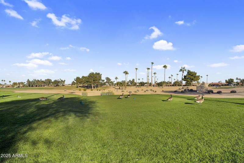 57-web-or-mls-DSC00266