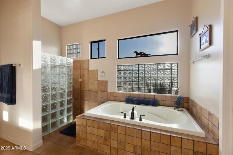 Primary Tub and Walk-in Shower