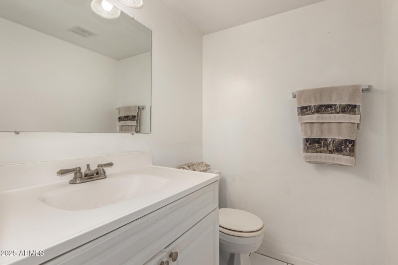 Downstairs powder room