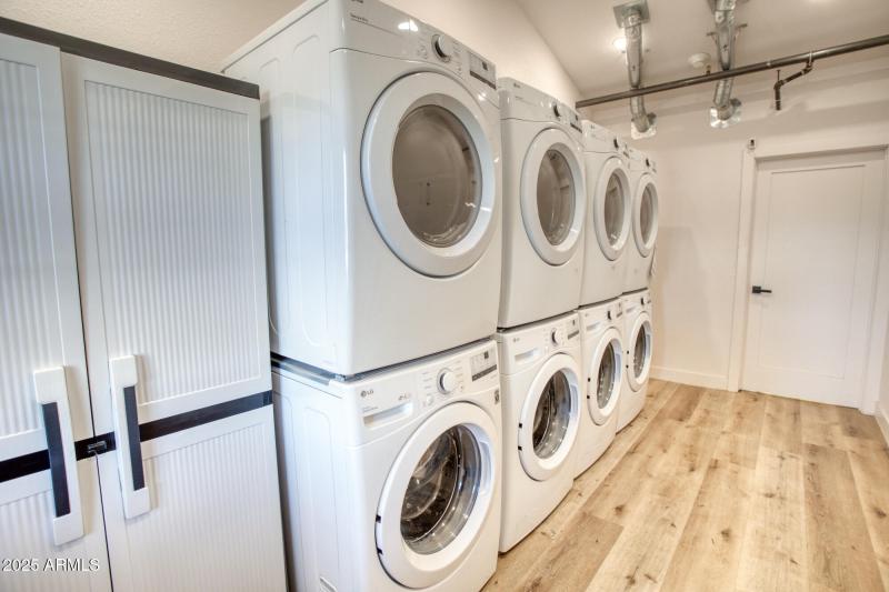 paxmanphoto_PAX_9210