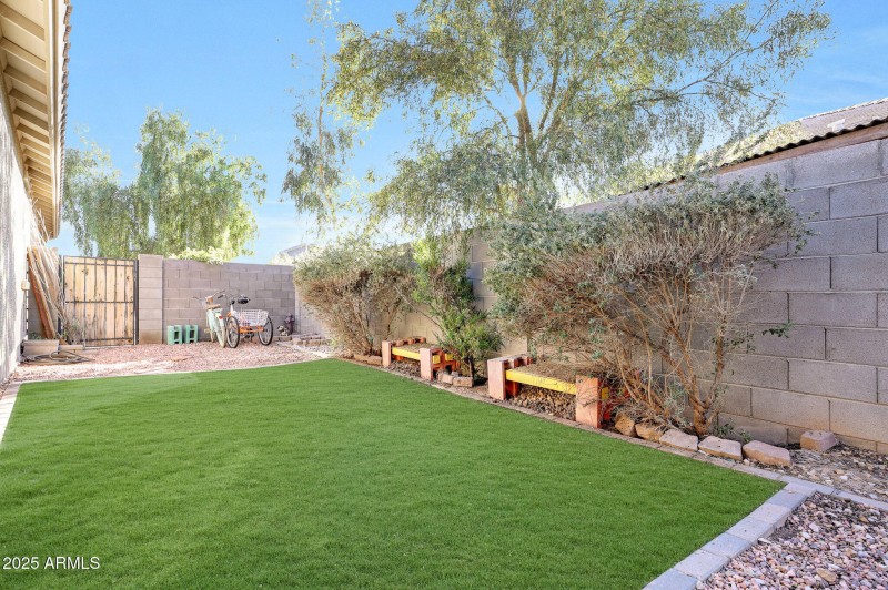 Low-Maintenance Turf Side Yard