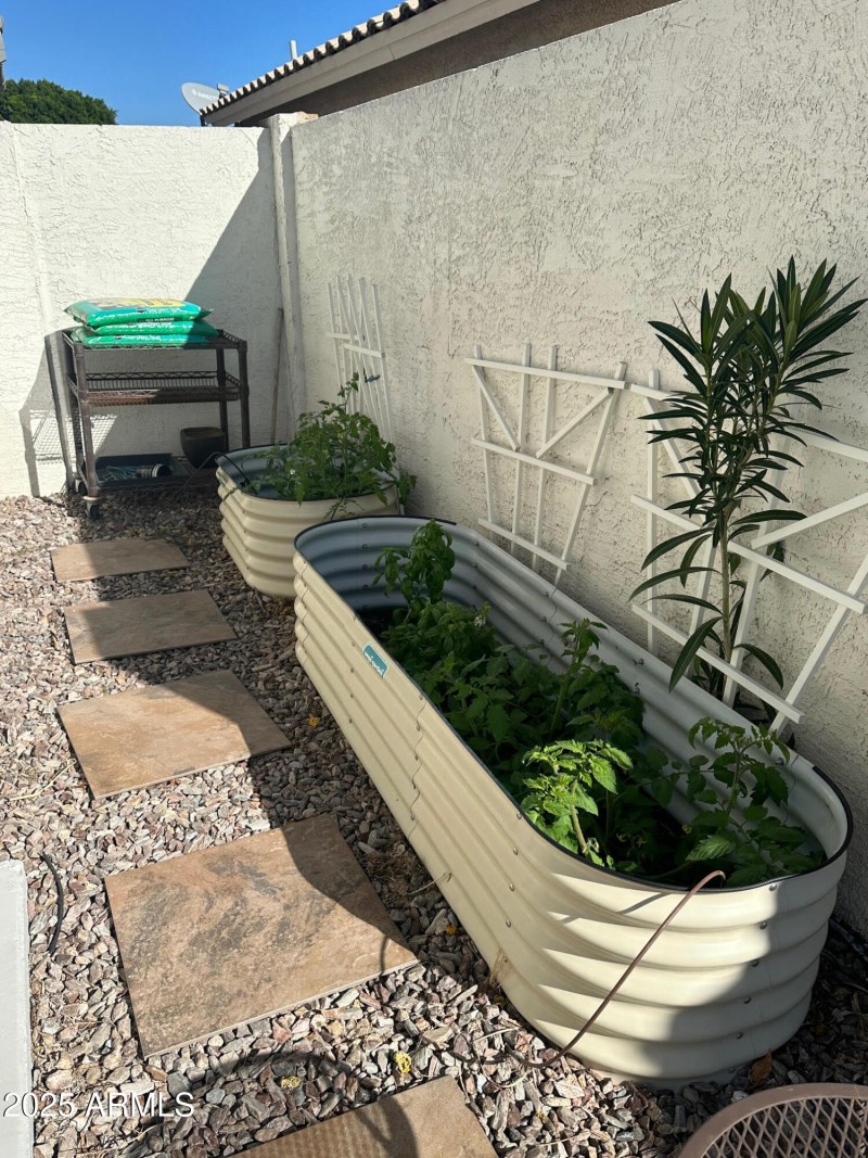 Chicago Raised Garden