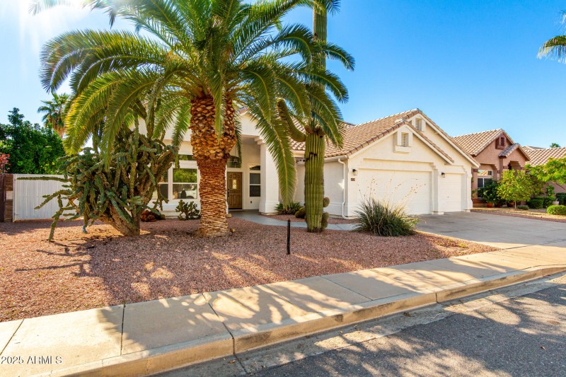 Desert Landscape Curb Appeal
