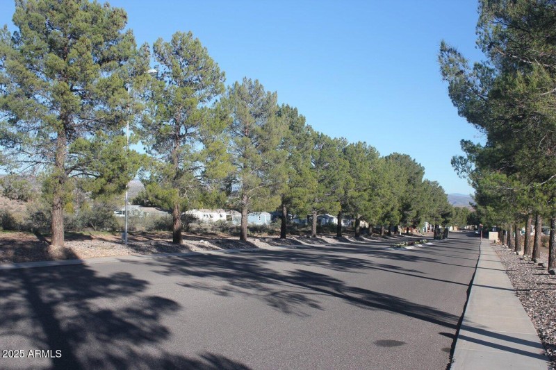 Pine Shadows Main Drive