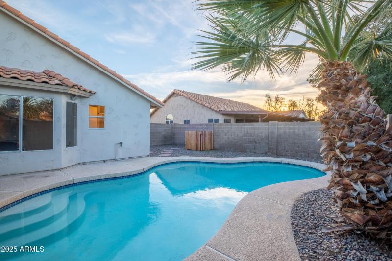 Catclaw Listing Pics 23