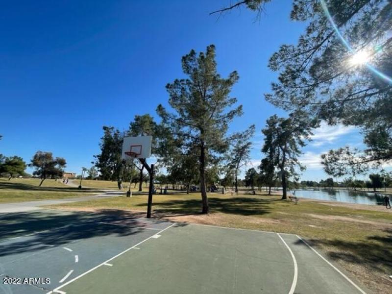 Basketball court