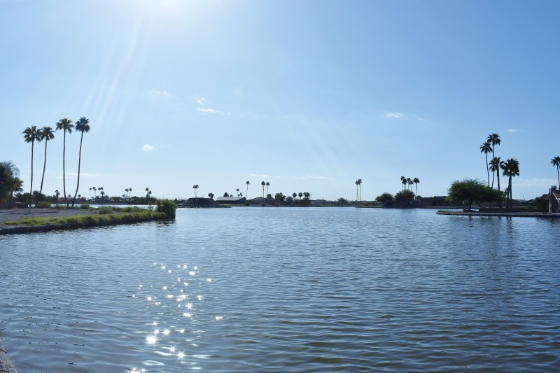 View of lake from back yard