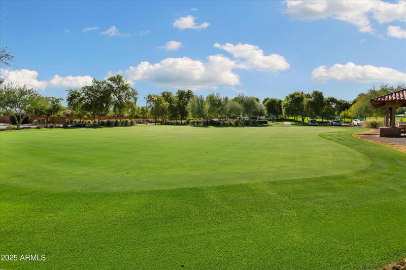 36-Sun City Festival - Sage (1)