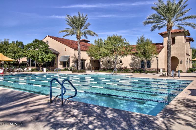 66-Sun City Festival - Sage (31)