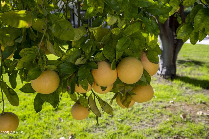 6500 E Fanfol Dr -58