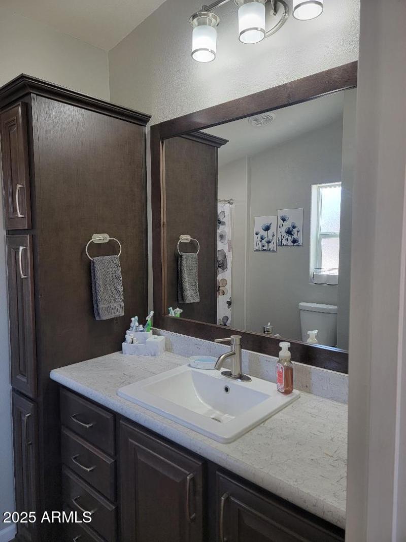 3727 primary bathroom sink