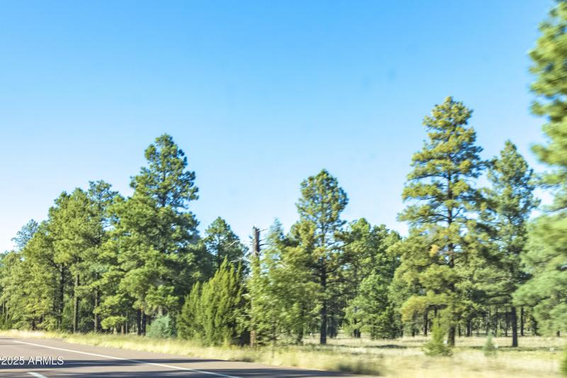 2353 Quarter Horse Trail #238__140