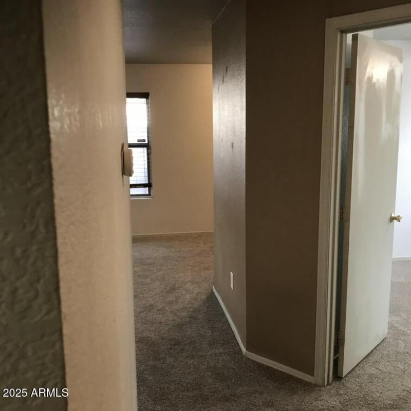 595565DC-9738-4445-AB9D-EEC32E061D85_1_1