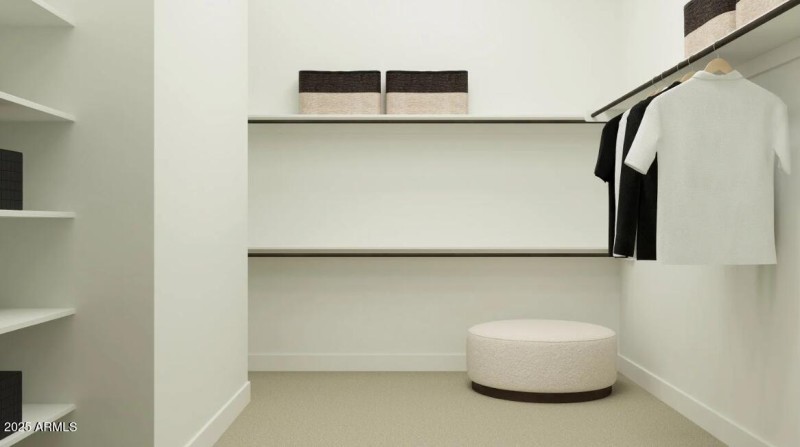 Owners Walk in Closet