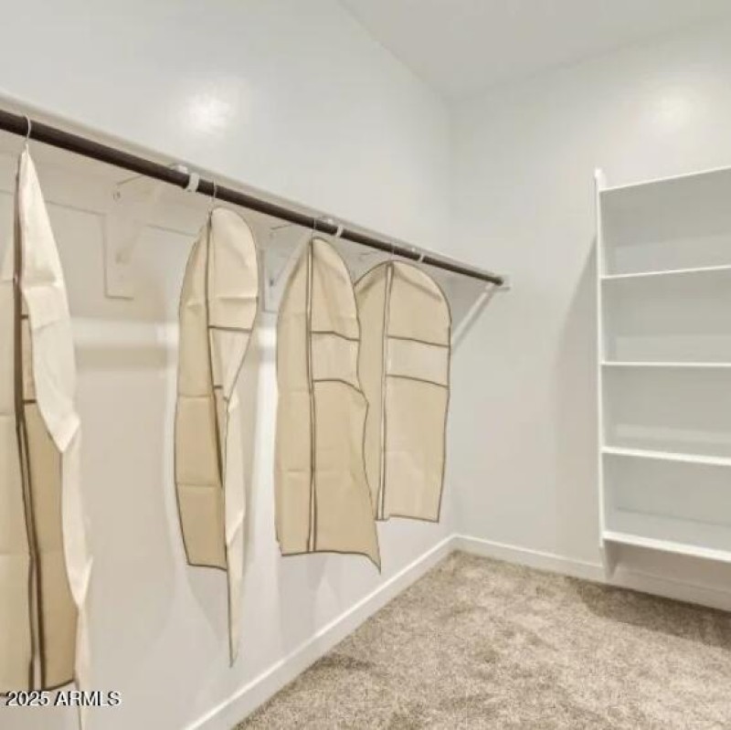 Owners Walk in Closet