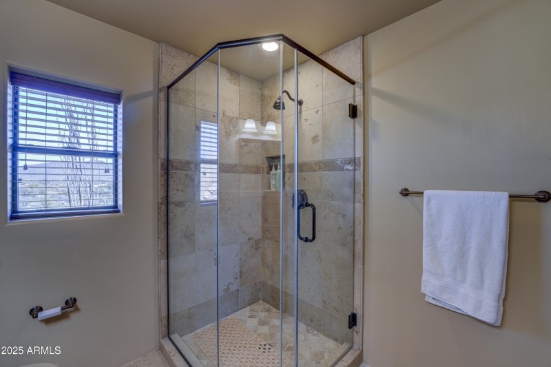 Guest Bathroom shower