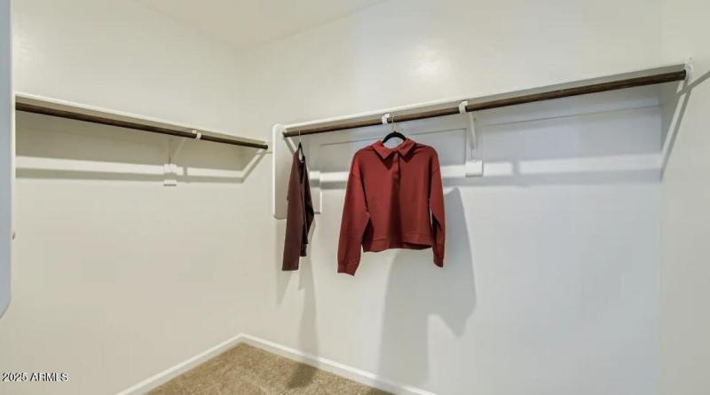 Owners Walk in Closet