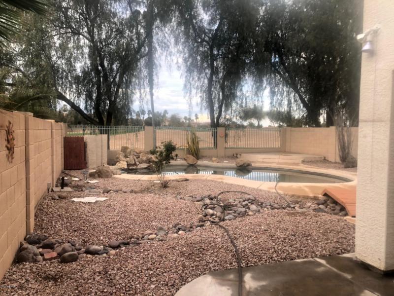 desert flower backyard