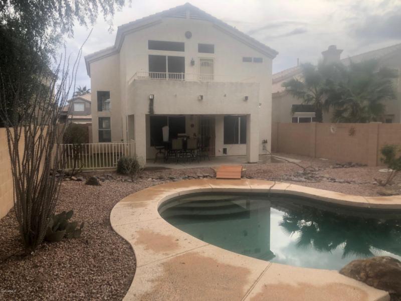 desert flower backyard 2