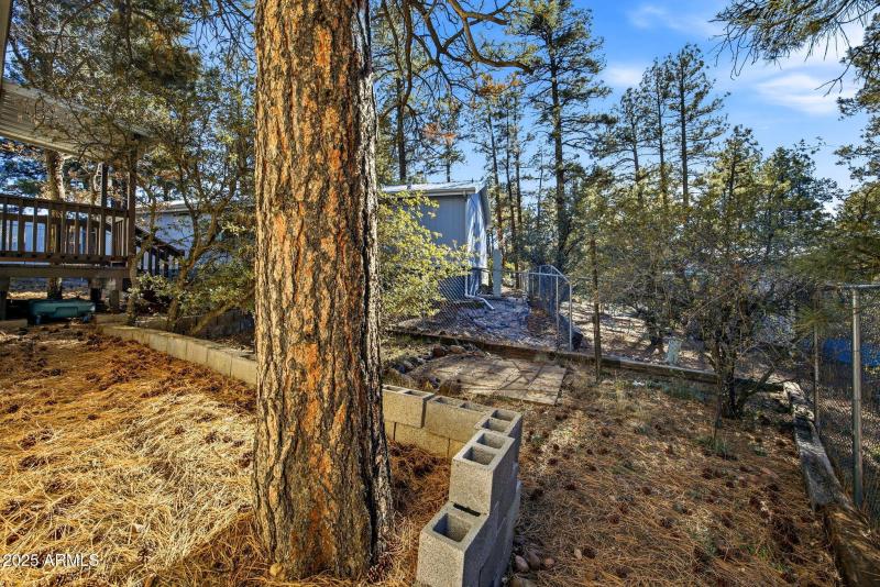 2325WSylvesterCir-ShowLow-AZ-23