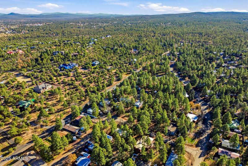 2325WSylvesterCir-ShowLow-AZ-27