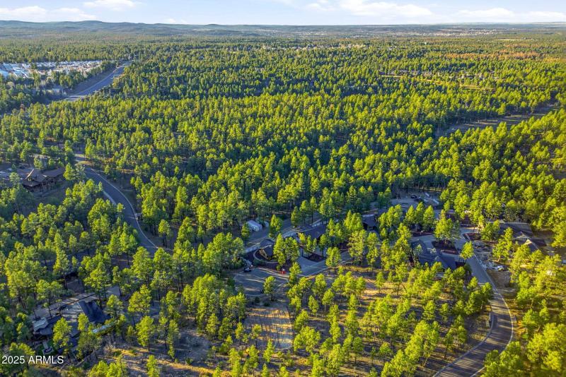 30NBenchCir-ShowLow-AZ-35