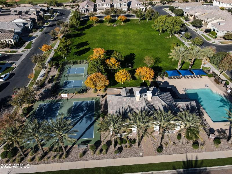 10037 Nopal Drone-17-2