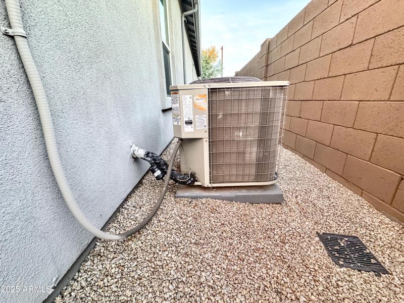 Photo Dec 14 2025, 17 15 04