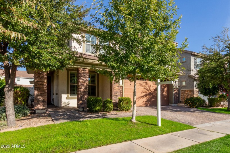 06 - Palo Verde 4268