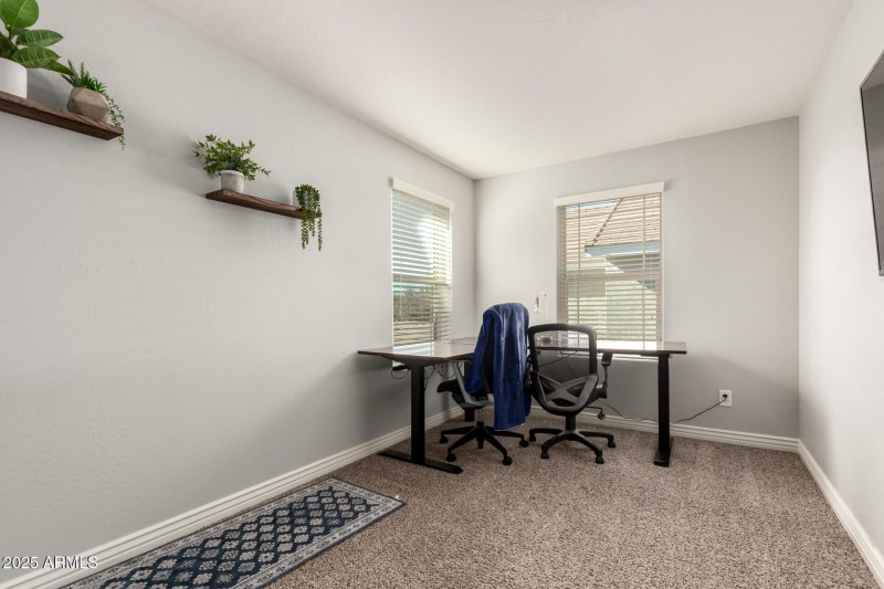 37 - Palo Verde 4268