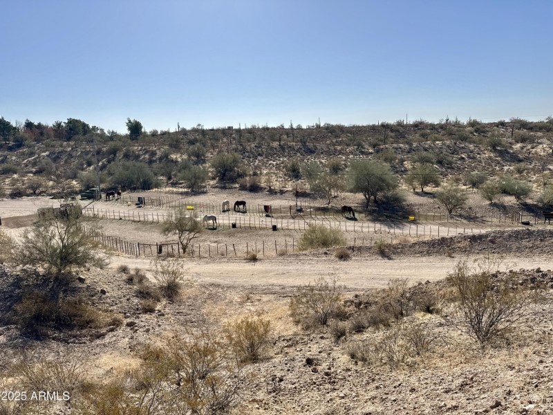 75960710952__767B8058-2494-4AD3-996E-988