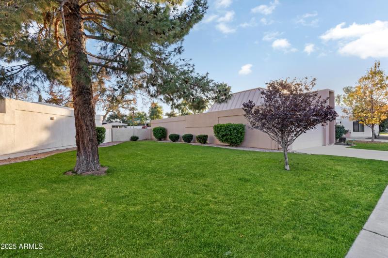 Open Green Area Adjacent to Home