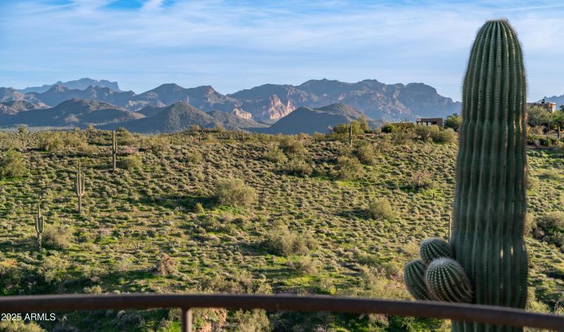 13815 N Vista Del Oro Exteriors-6