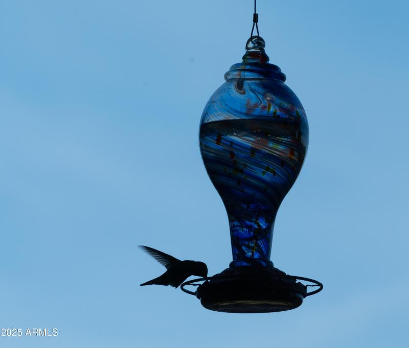 13815 N Vista Del Oro Artsy Photos-6