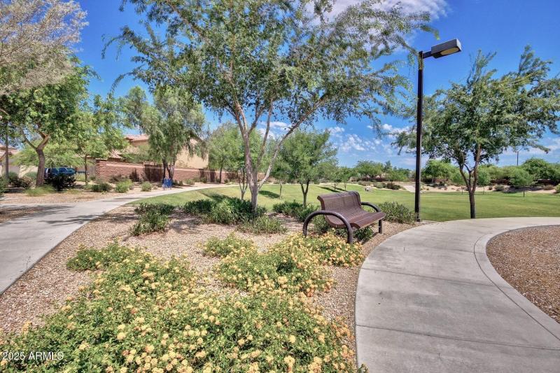 7 Beautiful Cortessa!